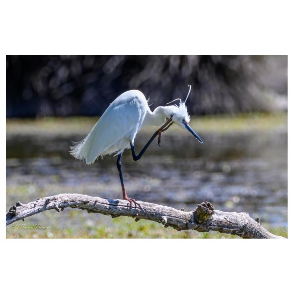 PHOTO84, CLUB, 84 , LUBERON